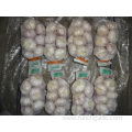 Normal White Garlic High Quality